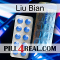 Liu Bian 40